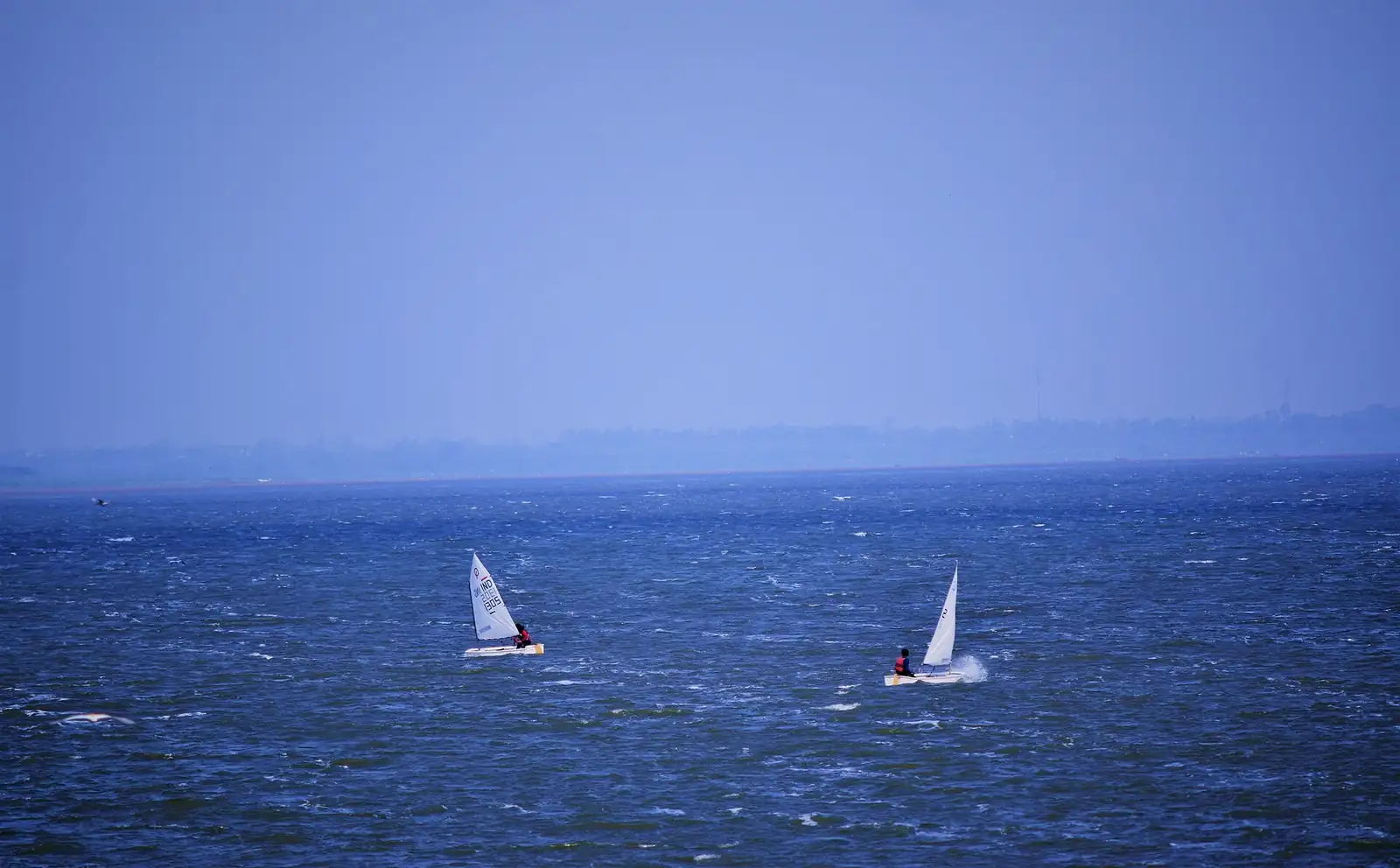 Dinghies sailing on the Upper Lake, Bhopal